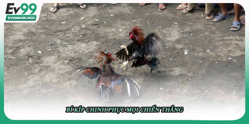 Bí kíp chinh phục mọi chiến thắng