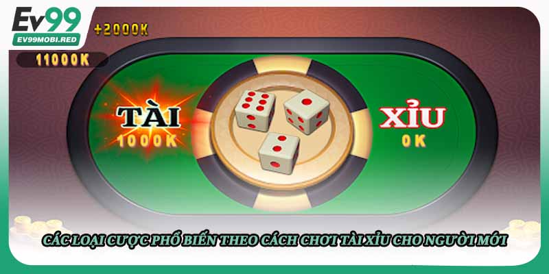 Các loại cược phổ biến theo cách chơi tài xỉu cho người mới