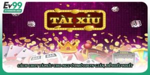 Cách chơi tài xỉu cho người mới