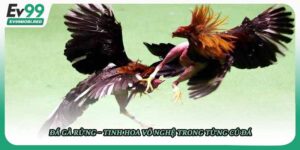 Gà rừng vs gà tre – ai mạnh hơn