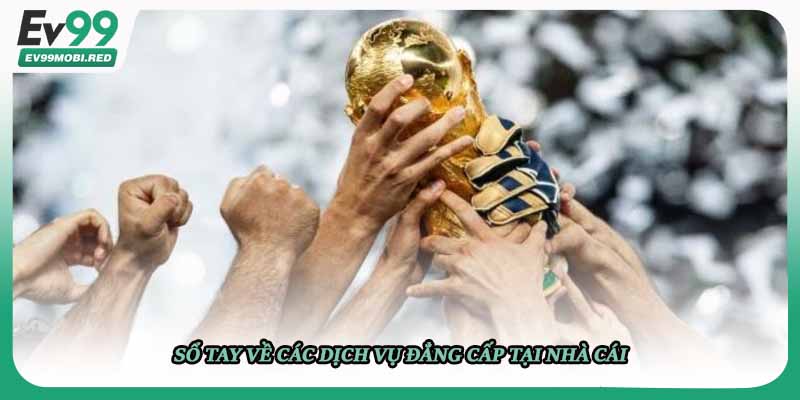 Sổ tay về các dịch vụ đẳng cấp tại nhà cái